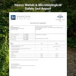 Organic Nettle Root Extract 5000mg - 120 Vegan Capsules