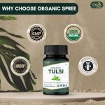 Organic Tulsi Tablets - Holy Basil 120 Count