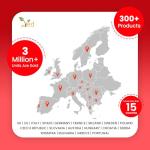 Ved Lycopene Supplement for Energy Balance, 50mg