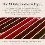 Nutrex Hawaii BioAstin Astaxanthin Softgels 60ct