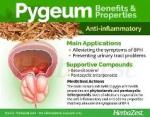 Pygeum Africanum 4000mg - 60 Capsules