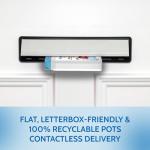 Digestive Dewormer Detox: Wormwood, Black Walnut, Cloves