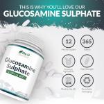 Glucosamine 1500 mg - 365 Tablets - High Potency