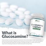 Glucosamine 1500 mg - 365 Tablets - High Potency