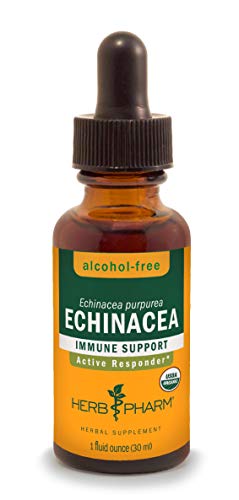 Certified Organic Echinacea Root Liquid Extract – 1oz