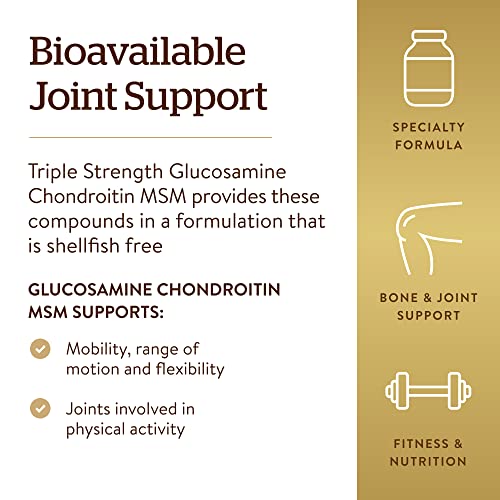 Extra Strength Glucosamine Chondroitin MSM (60 Tablets)