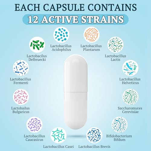 300 Billion CFU Probiotics for Gut Health