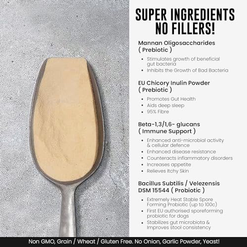 Advanced Probiotics Powder for Dogs - 300g
