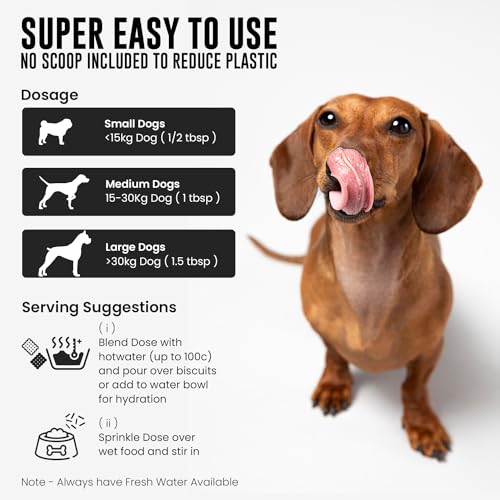 Advanced Probiotics Powder for Dogs - 300g