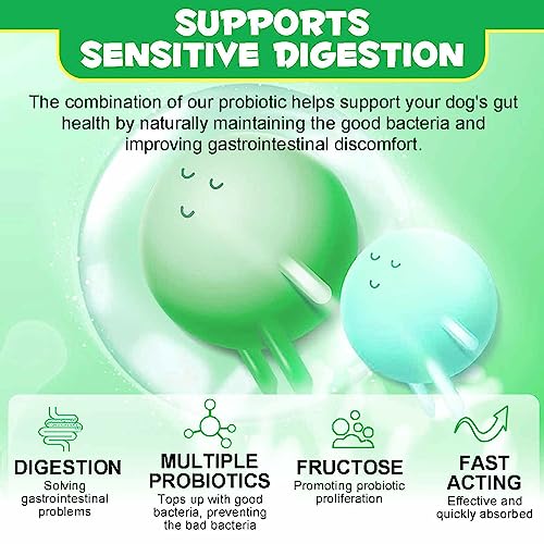 Dog Probiotics Chews - 120 Count Duck Flavor