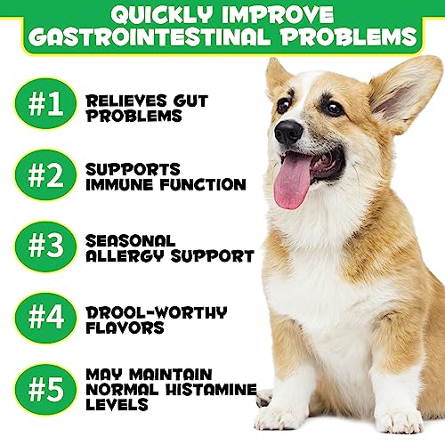 Dog Probiotics Chews - 120 Count Duck Flavor