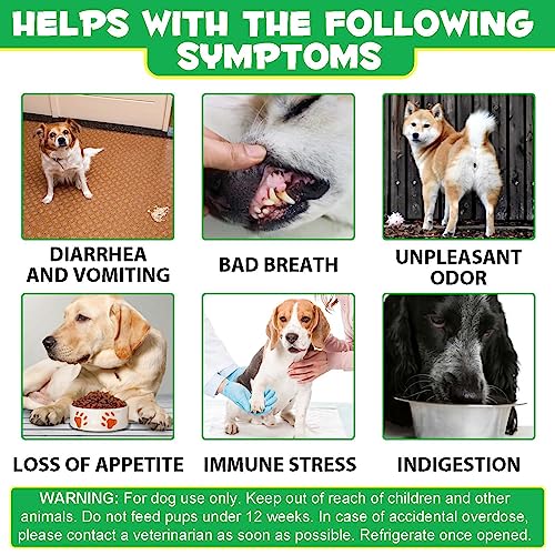 Dog Probiotics Chews - 120 Count Duck Flavor