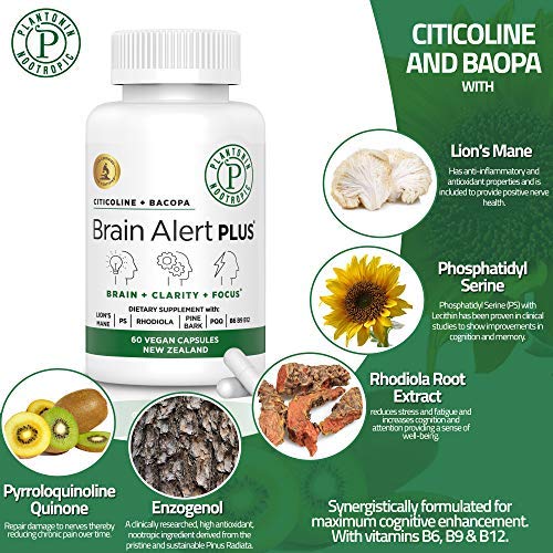 Plantonin Brain Supplements for Memory and Focus