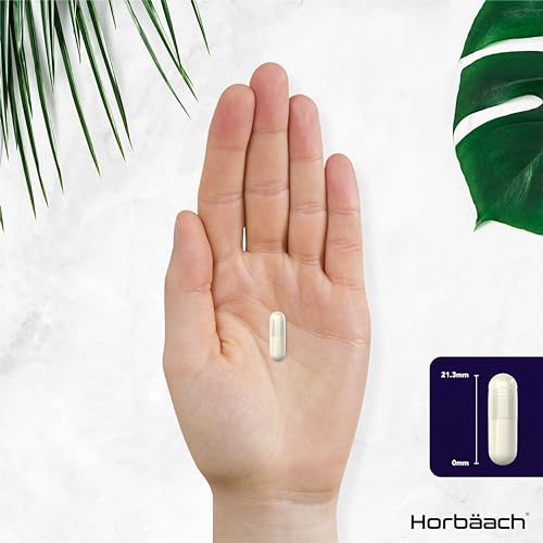 Powerful Brain Supplement for Focus and Memory