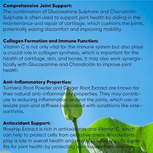 Joint Support Complex with Glucosamine and Turmeric