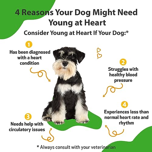 Pet Wellbeing Heart Support for Dogs - 2 Oz