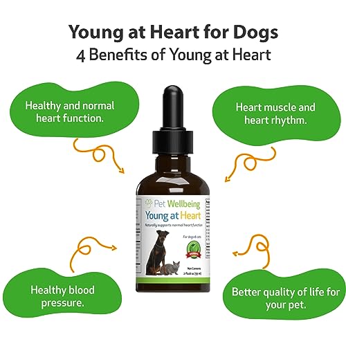 Pet Wellbeing Heart Support for Dogs - 2 Oz