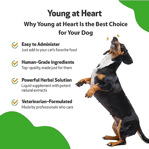 Pet Wellbeing Heart Support for Dogs - 2 Oz