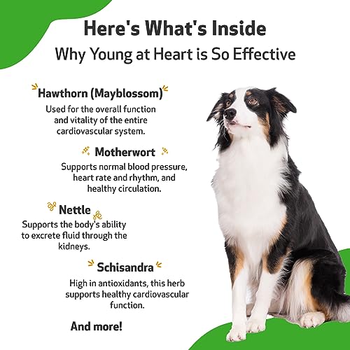 Pet Wellbeing Heart Support for Dogs - 2 Oz