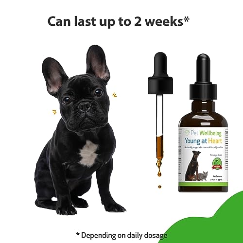 Pet Wellbeing Heart Support for Dogs - 2 Oz