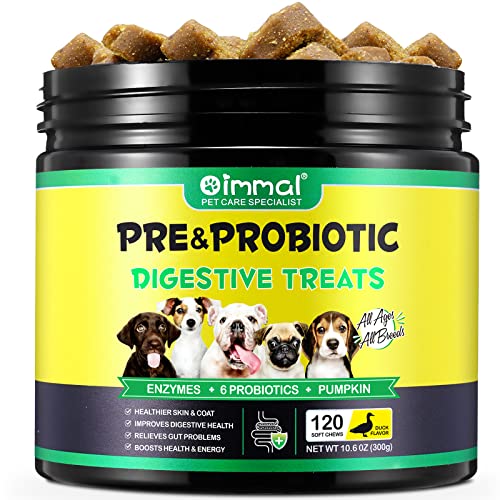Probiotic Tablets for Dogs - Gut Health Support