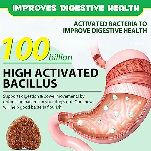 Probiotic Tablets for Dogs - Gut Health Support