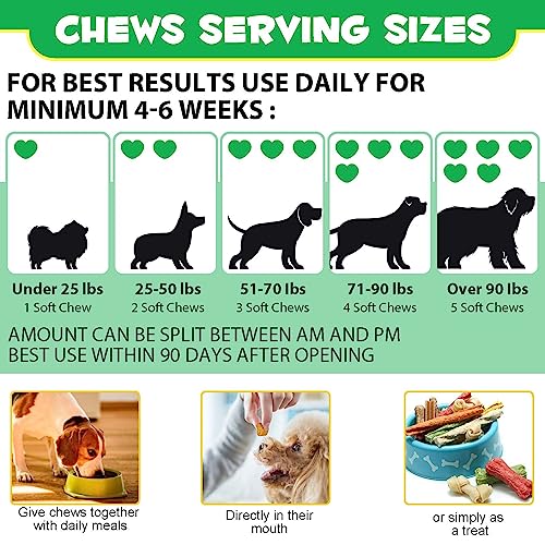 Probiotic Tablets for Dogs - Gut Health Support