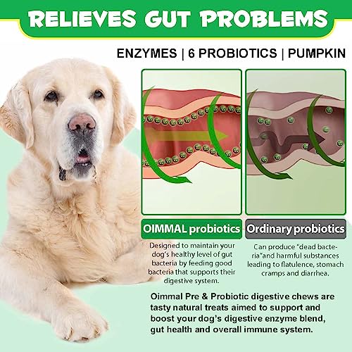 Probiotic Tablets for Dogs - Gut Health Support