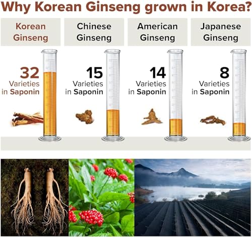 Korean Red Ginseng Capsules for Energy and Focus