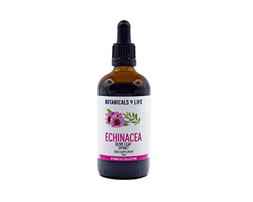 Echinacea Olive Leaf Extract 100 ml