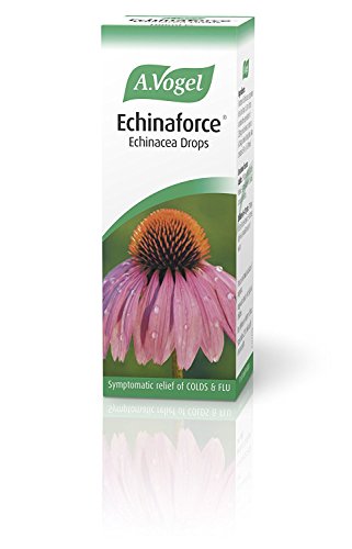 A Vogel Echinaforce Drops 100ml – 2 Pack