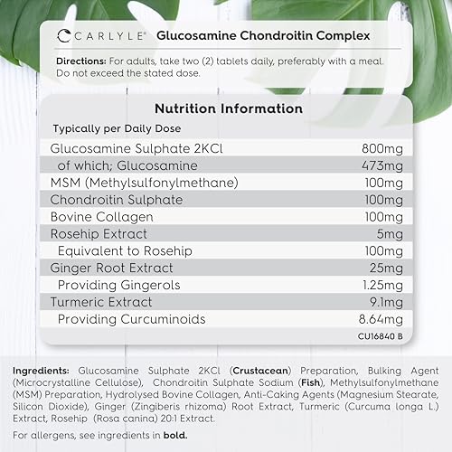 High Strength Glucosamine & Chondroitin Complex 365 Tablets
