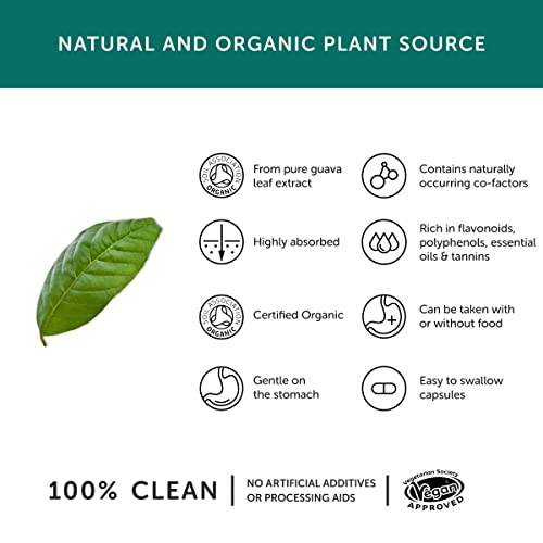 Together Organic Zinc Supplement, 30 Capsules