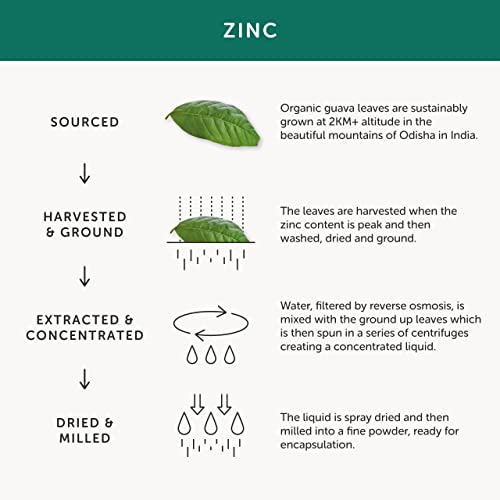 Together Organic Zinc Supplement, 30 Capsules