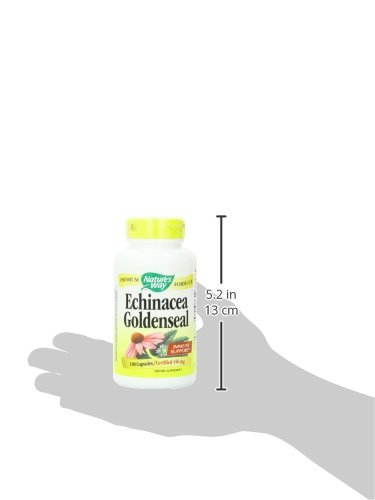 Nature's Way Echinacea Goldenseal 900 mg 180 Capsules
