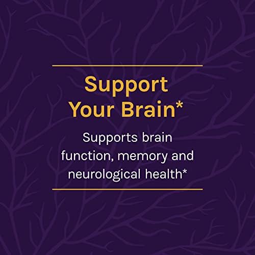 Host Defense Brain Capsules for Memory and Focus