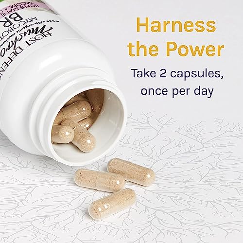 Host Defense Brain Capsules for Memory and Focus