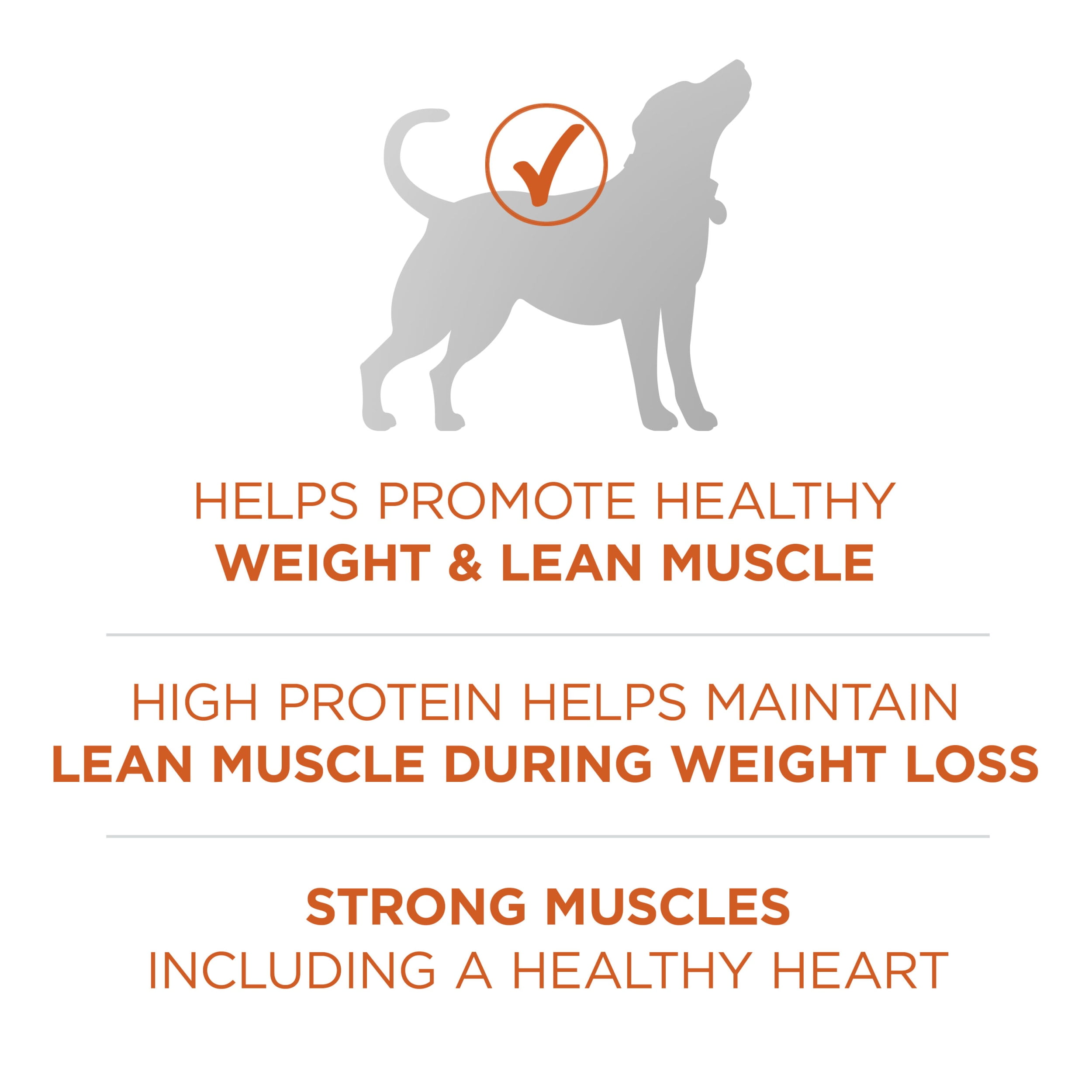 Purina ONE Healthy Weight Dog Food Dry Formula