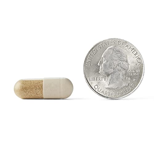 Neuriva Plus Brain Supplement for Memory and Focus