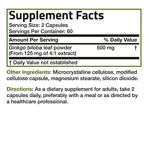 Bronson Ginkgo Biloba 500mg - Brain Function Support
