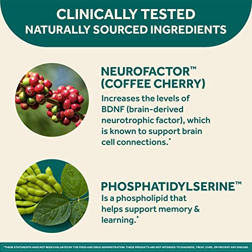 Neuriva Brain Health Supplement - 30 Count