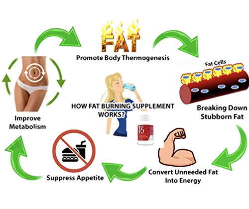 T6 Fat Burner Capsules for Weight Management, 60 Count
