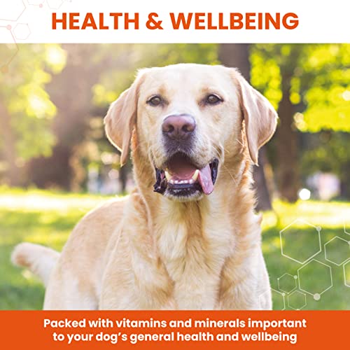Vetzyme Conditioning Tablets for Dogs, 500 Count