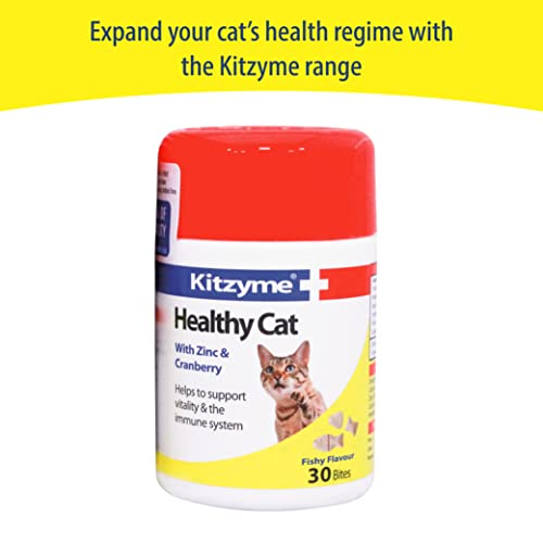 Kitzyme 2251/3695 Tablets - 100 Count