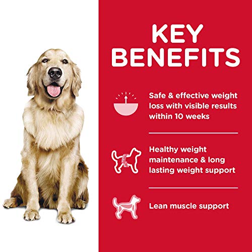 Hill’s Science Diet Adult Perfect Weight Dry Dog Food