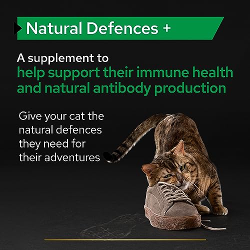 Pro Plan Cat Immune Health Supplement Powder 60g