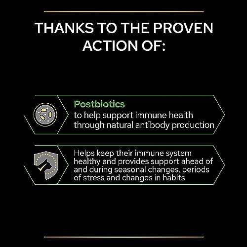 Pro Plan Cat Immune Health Supplement Powder 60g