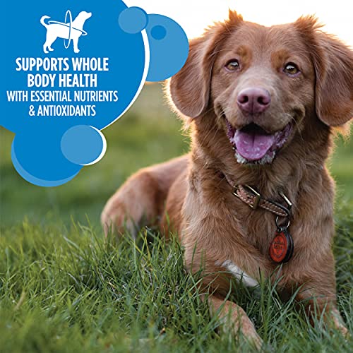 Iams Proactive Health Chicken Weight Control Dog Food