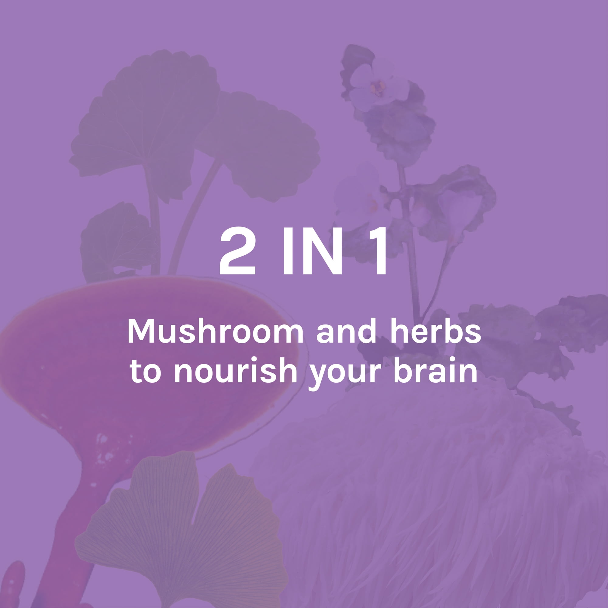 Host Defense Brain Capsules for Focus and Memory