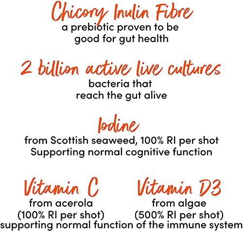 Living Kombucha Health Shots - Ginger, Grapefruit, Lime